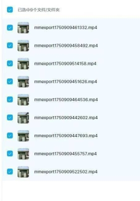 《张卫华一宅断一灶台定人丁》9集视频￥5