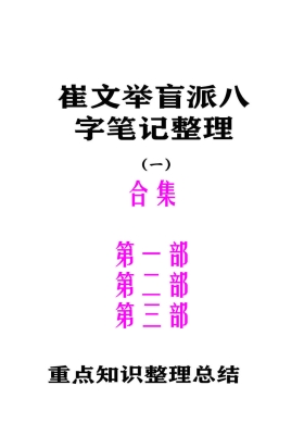 催老师/崔文举盲派八字笔记整理1、2、3部合集￥10