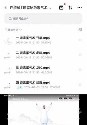 许道长《道家秘功采气术》视频4集视频课程💰5