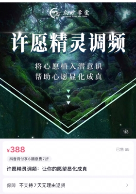 许愿精灵调频：让你的愿望显化成真 3集视频+2集音频💰5