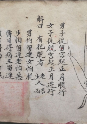 《梅山法本论病人手掌》龙虎山老道长刘复旦抄录💰5