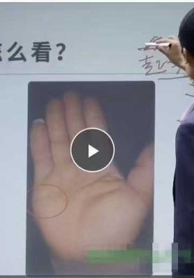 朱超掌纹天机视频9集￥5