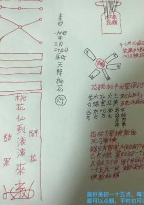 青月秘法种桃花法 视频+课件💰5