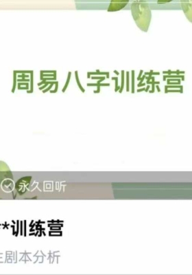 周周 周易八字训练营12集 ￥5