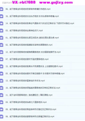 山东千手耿老师 线下全科班16堂筋骨课程精彩课程(高清录制) 非遗技术💰5