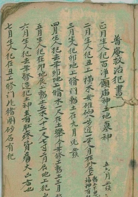 《普庵救治犯书》手抄珍本💰5