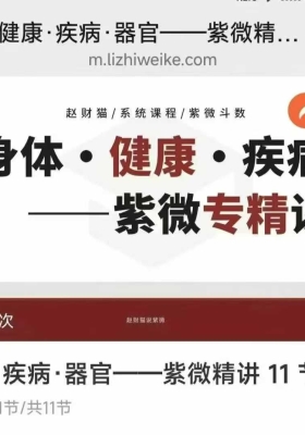 赵财猫·紫微小课专题三套视频合集￥5