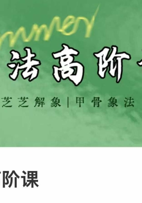 芝芝25年象法八字高阶课 8集视频课 💰5