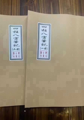 《四柱八字笔记》💰5