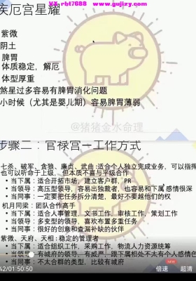 猪猪金水紫微斗数暑假班课程视频16集💰5