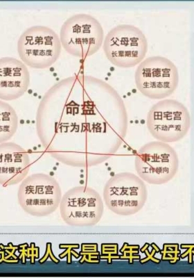 神霄云麓紫微斗数一期+二期实战视频合集课💰5