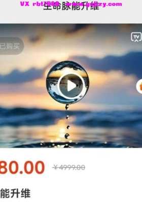 【生命脉能】依念·生命脉能升维训练营「做自己的疗愈师」51集视频课💰5
