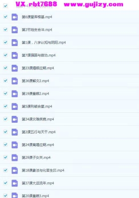 玄源盲派高级班 第一期41集视频 +第二期 125集 视频+课件💰5