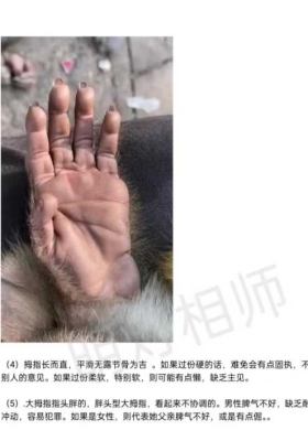 明灯手相教程第二期 11集视频+课件💰5