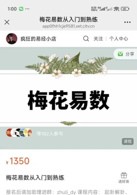 岳哥不群疯狂的易经梅花易数从入门到熟练，视频音频带课件￥5