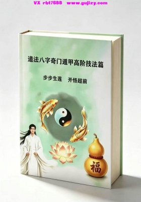 陈伟《道法八字奇门遁甲高阶技法篇》💰5