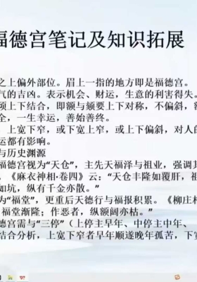 辰南老师《麻衣相术》教学视频20集￥5