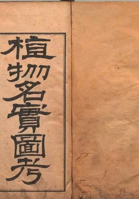 《重修植物名实图考》 💰5