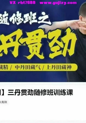 陆功翰三丹贯劲随修训班‬练课 全66讲视频课💰5