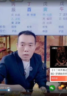 罗靖皓-大师蜕变系列之十二地支喜忌深度解析及化解秘法 视频一集💰5