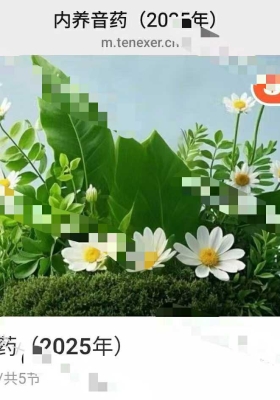 玄玑道家音药疗愈 视频音频课 💰5