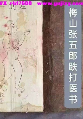 《梅山张五郎跌打医书》💰5