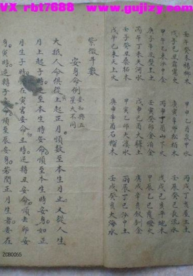 《紫微斗数》💰5