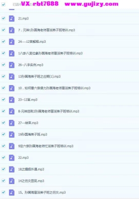 孙国海中高级八字六爻梅花培训 三套音频合集带讲义 超值💰5
