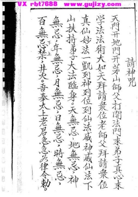 《麻公教》💰5