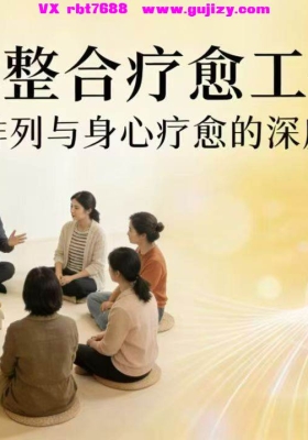 家排整合疗愈工作坊9集视频课💰5