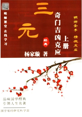 《奇门吉凶克应》上下册💰5