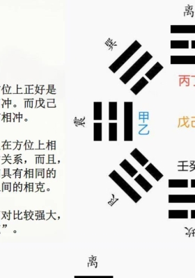 赵之君《技法--天干四冲详解及化解》💰5