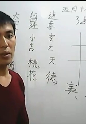 张至辉清斋九宫小六壬20集💰5