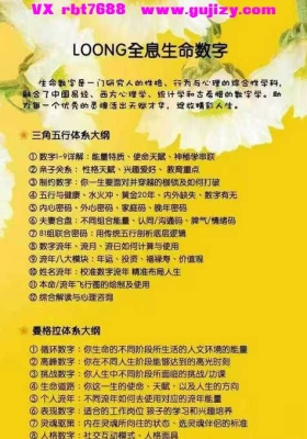 灵数！LOONG全息生命数字12集视频课💰5