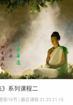 罗祖怀《心生道法》系列课程二  16集视频课💰5