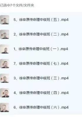 徐辛《原传命理中级班》7集视频💰5