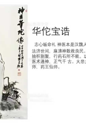金水道人《华佗仙法》南茅易德道学堂￥5