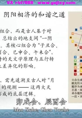 知易而行 梁兴杨 人生八字密码·入门解读19集视频课💰5