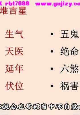 知易而行 紫匍老师 数相解读进阶课实用选号7集视频课💰5
