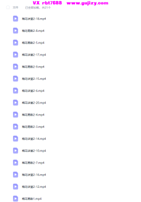 黄石易2018年第二期梅花（21视频）💰5