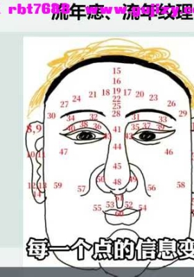 如是禅说张芝鸣 面相识人学 14集视频课 💰5