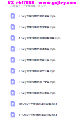 Sally玄学跨境命理中英文课程（内部学员专拍）12集视频💰5