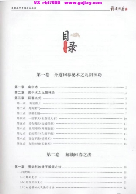 《丹道回春秘术》💰5