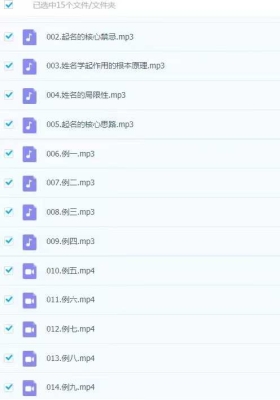 练己者天选姓名学  视频+音频 15集💰5