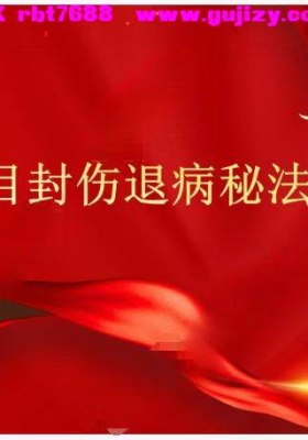 华光天目封伤退病秘法.pdf 8页 仅法本💰5