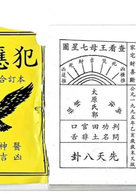 《万应犯》上下集合订本💰5