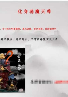 白云-混元六天真武秘籍 混元真武秘籍 视频+课件💰5