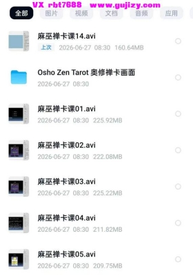 麻巫禅卡塔罗课程17集视频+图片💰5