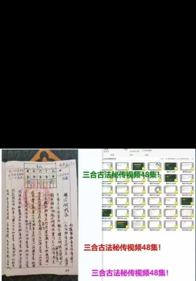 孙欣老师杨公三僚三合古法秘传视频教程48集💰5