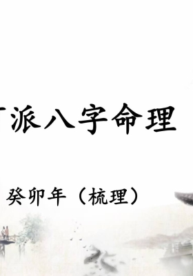 催老师催文举崔老师盲派八字笔记💰5